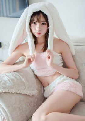 欢乐南极厨-标清免费播放