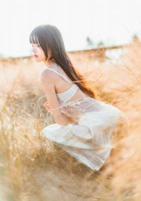 如我之狼第2季-日韩免费国语迅雷下载