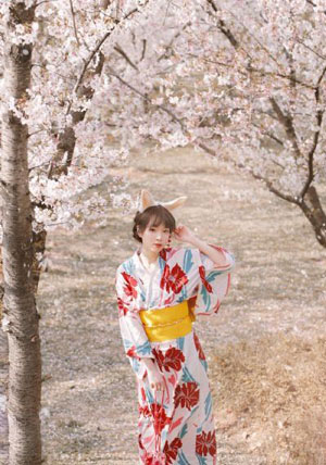 海贼王剧场版Z-大结局日韩成人在线