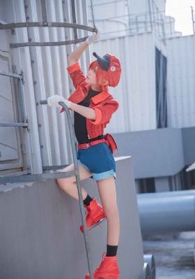 捕蝇纸-片花迅雷1080