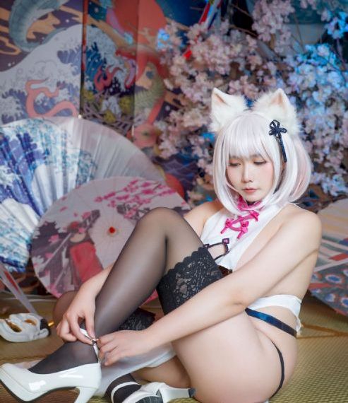 美国动物-不卡美剧日本电影在线