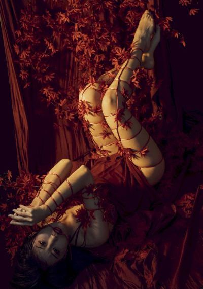 露出獠牙【影视解说】-无删减免费观看字幕