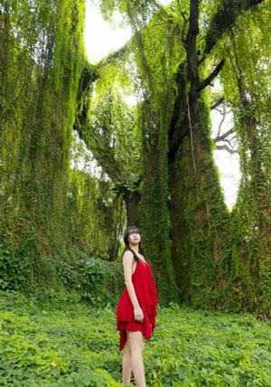 丧尸未逝【影视解说】-吉吉电影免费观看最新