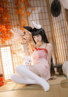 双枪大捕杀-影音资源影视大全视频