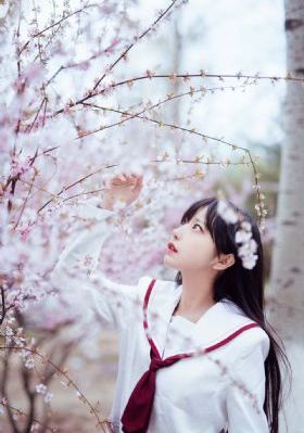 在桃花盛开的地方-精彩预告全集在线观看