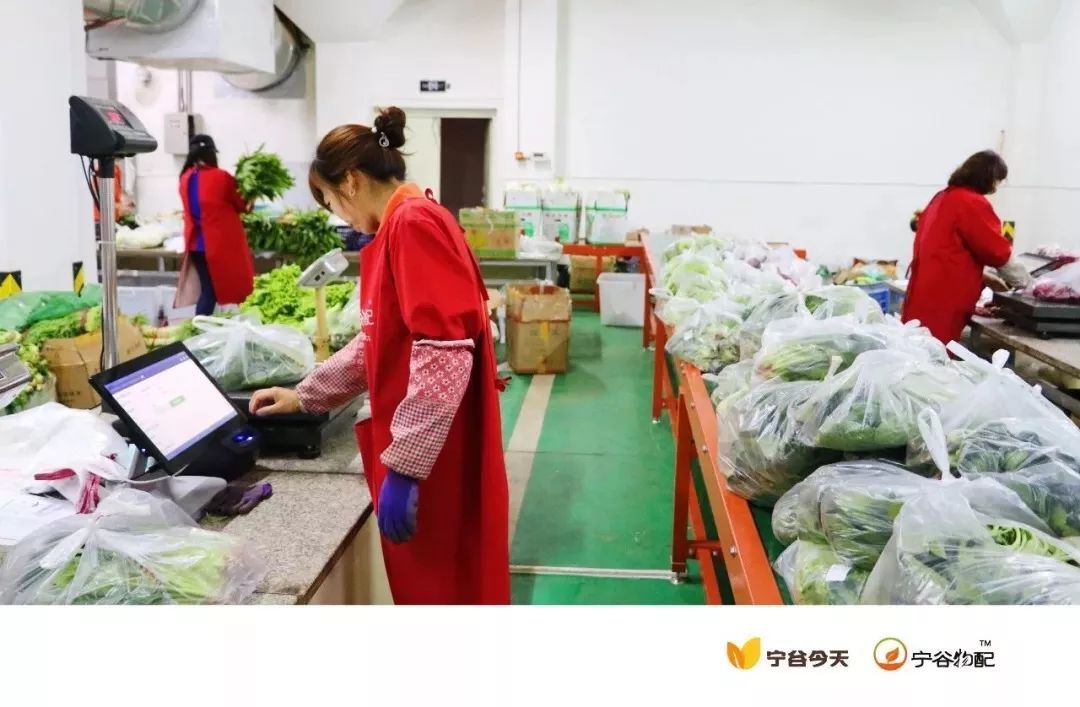 從零到億 這家谷物企業如何在三年內創造商業奇跡