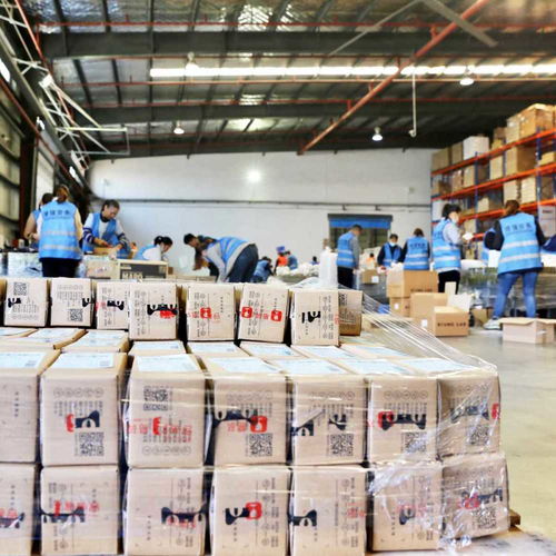 寧波都市區這樣建 甬臺舟三地行動方案干貨滿滿