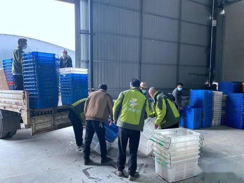 喜訊 全市目前規模最大 貨品最齊全 交通最便捷的農特產品批發市場開門營業