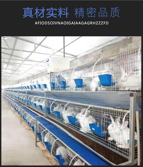 商品兔子籠批發(fā)圖片 商品兔子籠批發(fā) 臨沂云蒙湖籠具廠