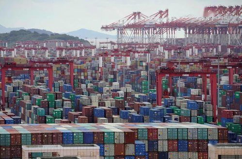 曝澳洲出口上海的水果和海鮮將接受全面查驗(yàn)