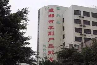 城市變遷的見證 五塊石客運(yùn)站再會，班線調(diào)遷與商品批發(fā)貿(mào)易新篇章